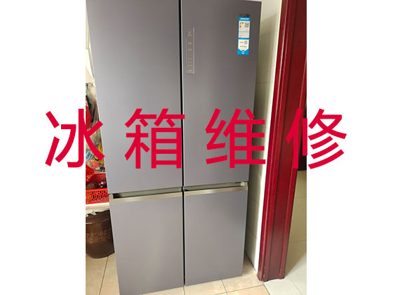 重庆电冰箱维修上门服务